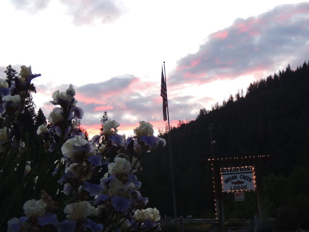 Indian Creek Lodge Douglas City Exteriér fotografie